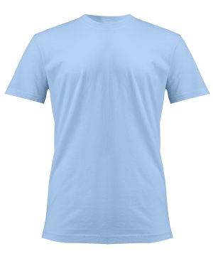 CO100 Hydrangea FT 2