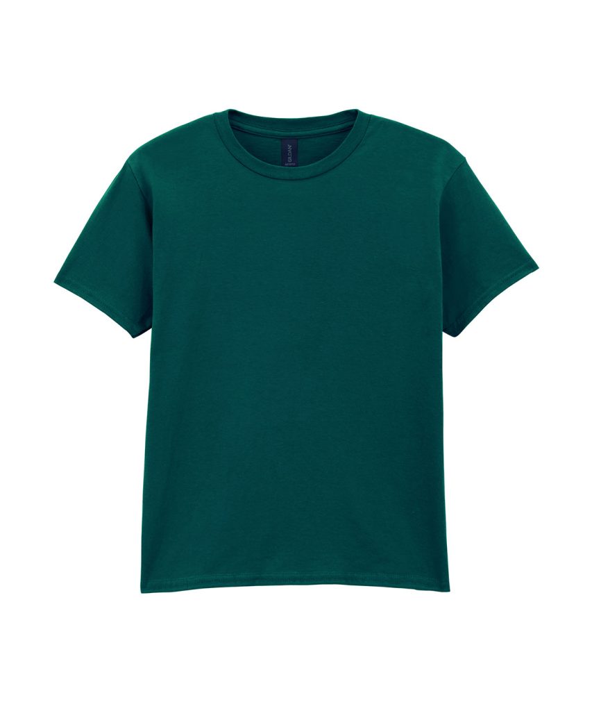 GD01B FanMarineGreen FT