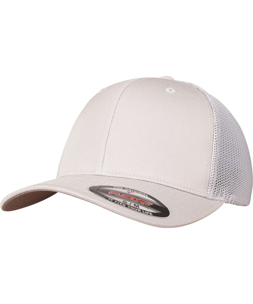YP179 Silver FT